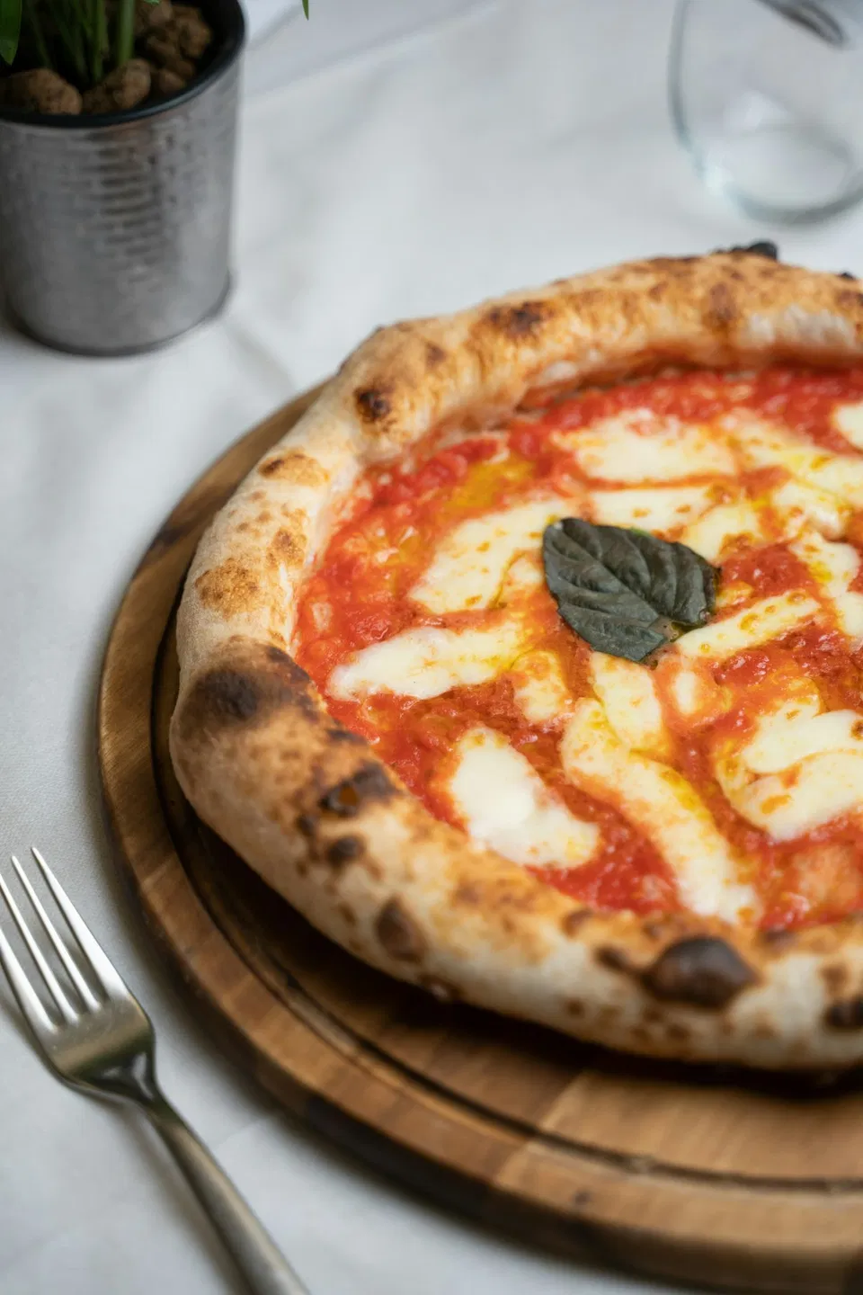 Pizzaa ja tuoretta basilikaa